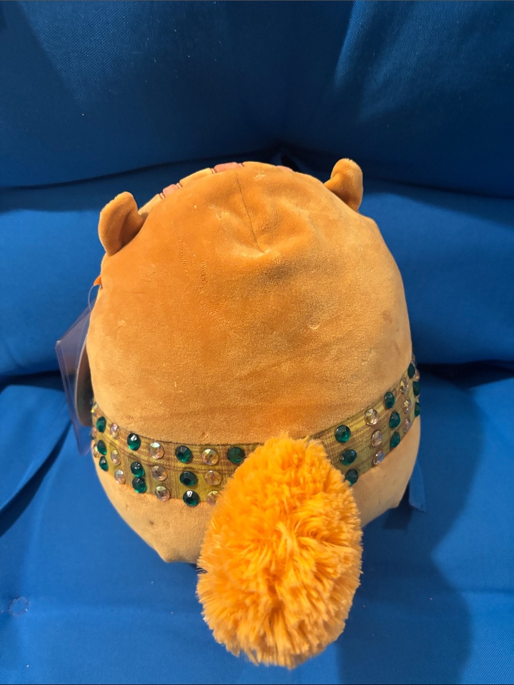 Original Squishmallows NamedErin Size7“Inch 2022 NWTS HarvestSquirrel Halloween - Picture 2 of 13